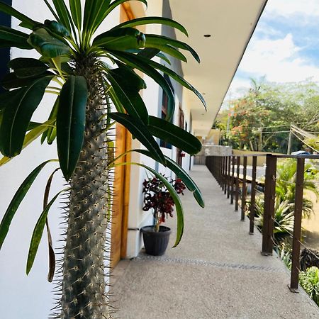 Hotel Samanu Sayulita Luaran gambar