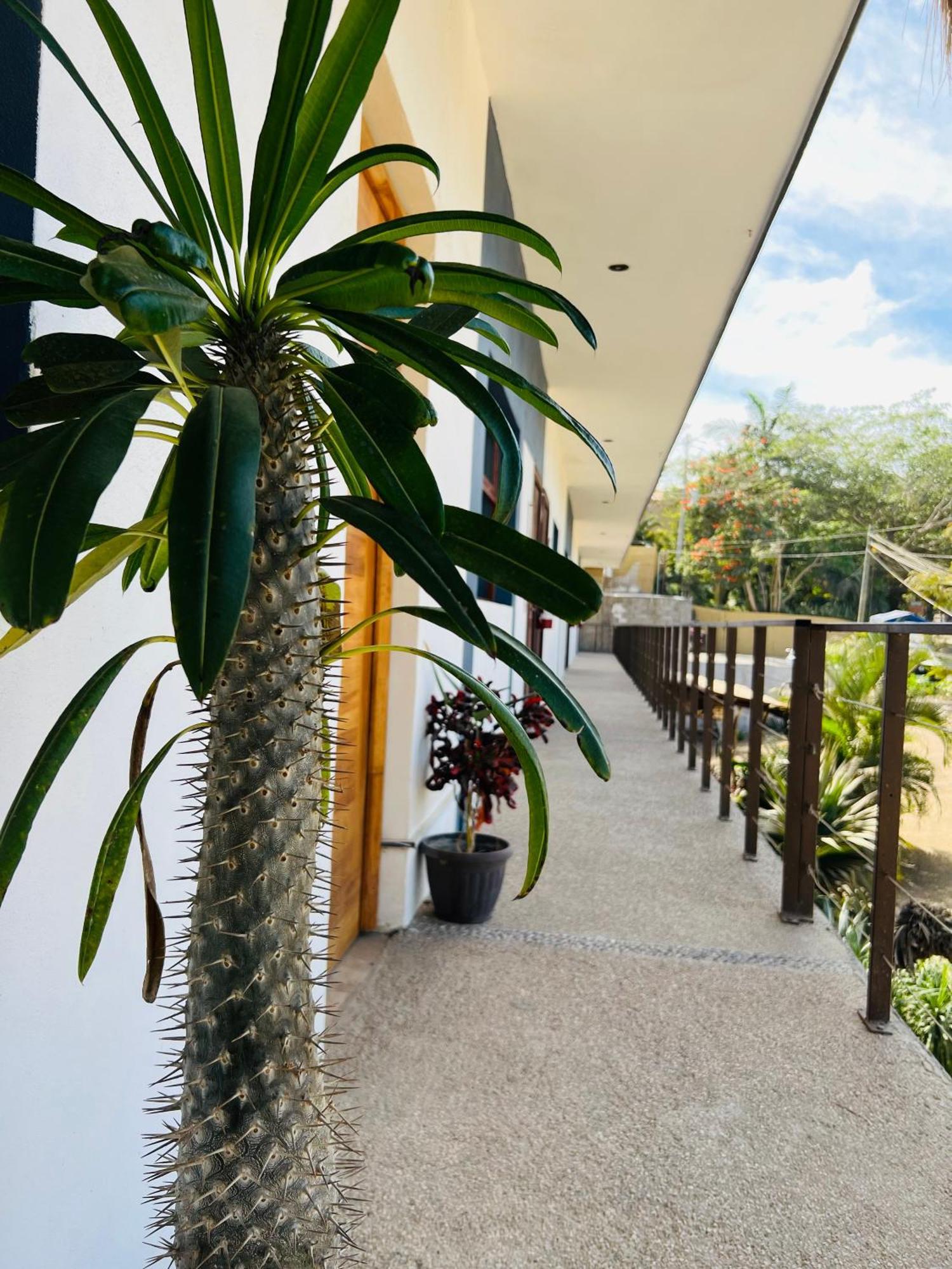 Hotel Samanu Sayulita Luaran gambar